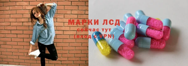 мяу мяу мука Михайлов