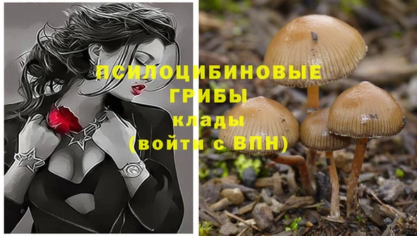 марки nbome Михайловка