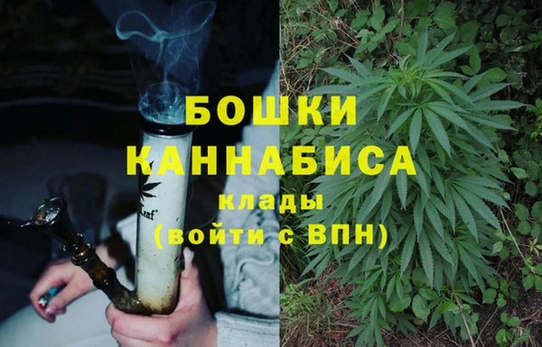 spice Медвежьегорск