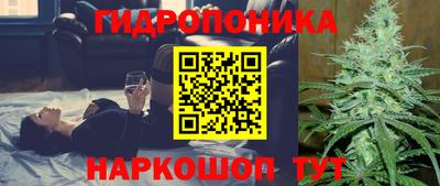 твердый Гай